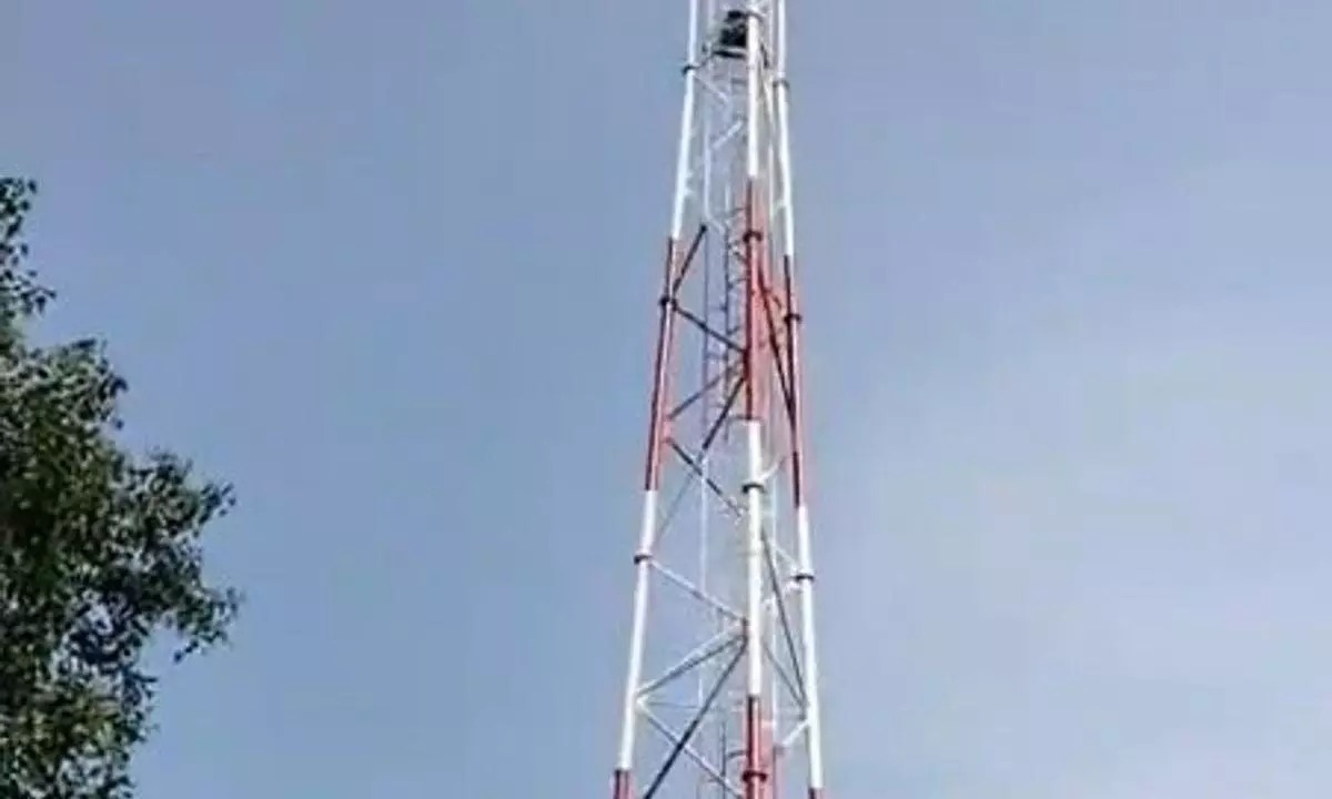 ऐशबाग स्टेशन पर टावर पर चढ़ी महिला, मुख्यमंत्री से मिलने की जिद पर अड़ी