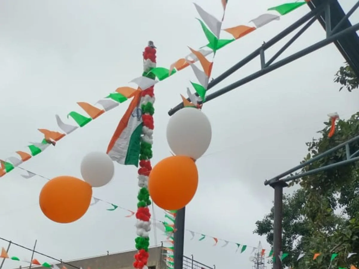 अनूठा उत्सव: बिरकोनी में बच्चे मां भारती और छत्तीसगढ़ महतारी के रूप में आए नजर