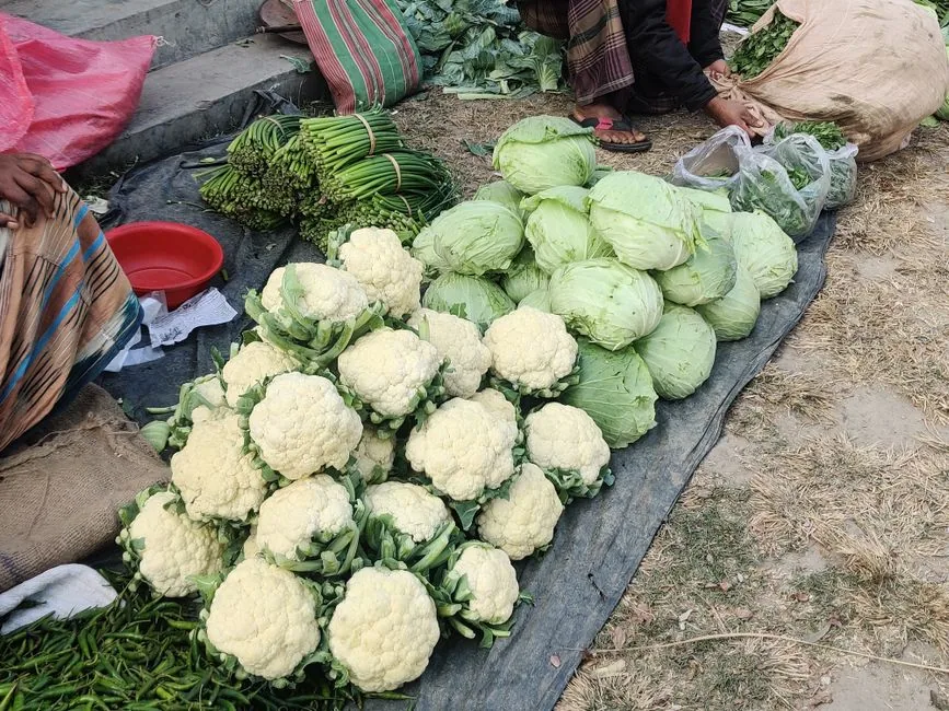रांची जिला प्रशासन ने स्थानीय किसानों की आय बढ़ाने के लिए ऑर्गेनिक फार्मिंग क्लस्टर का गठन किया