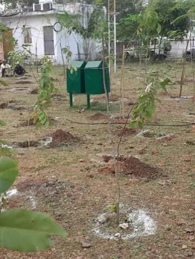 पर्यावरण रक्षा: भोपाल के बैरसिया क्षेत्र में वन विभाग द्वारा आज वृहद पौधरोपण अभियान का हुआ शुभारंभ