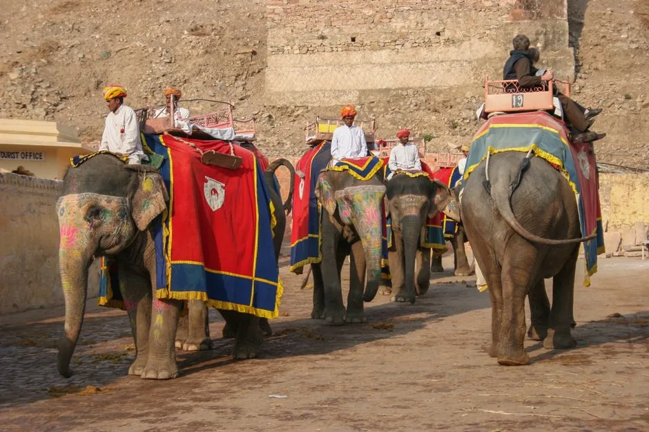 भव्य उत्सव: जयपुर के हाथी गांव में सजाए गए हाथियों ने रैंप पर बिखेरा जलवा, सूरीनाम की राजदूत रहीं उपस्थित
