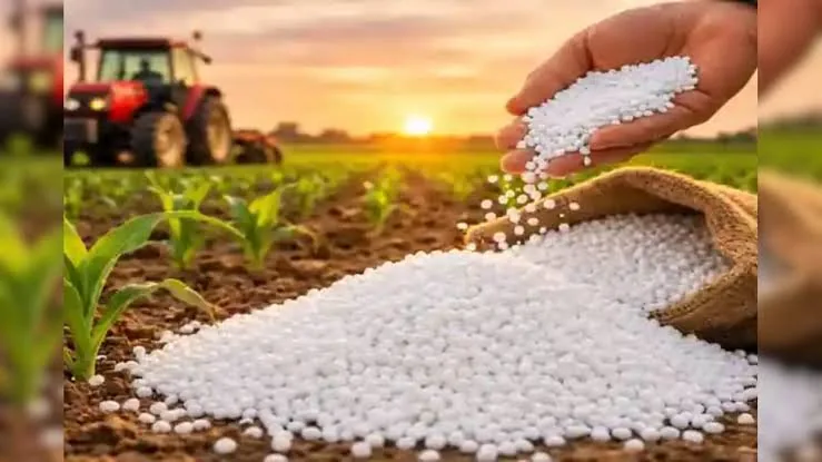 कृषि संकट: ऑस्ट्रेलिया के फैसले से भारतीय किसानों की बढ़ी चिंता, पाकिस्तान में खुशी की लहर