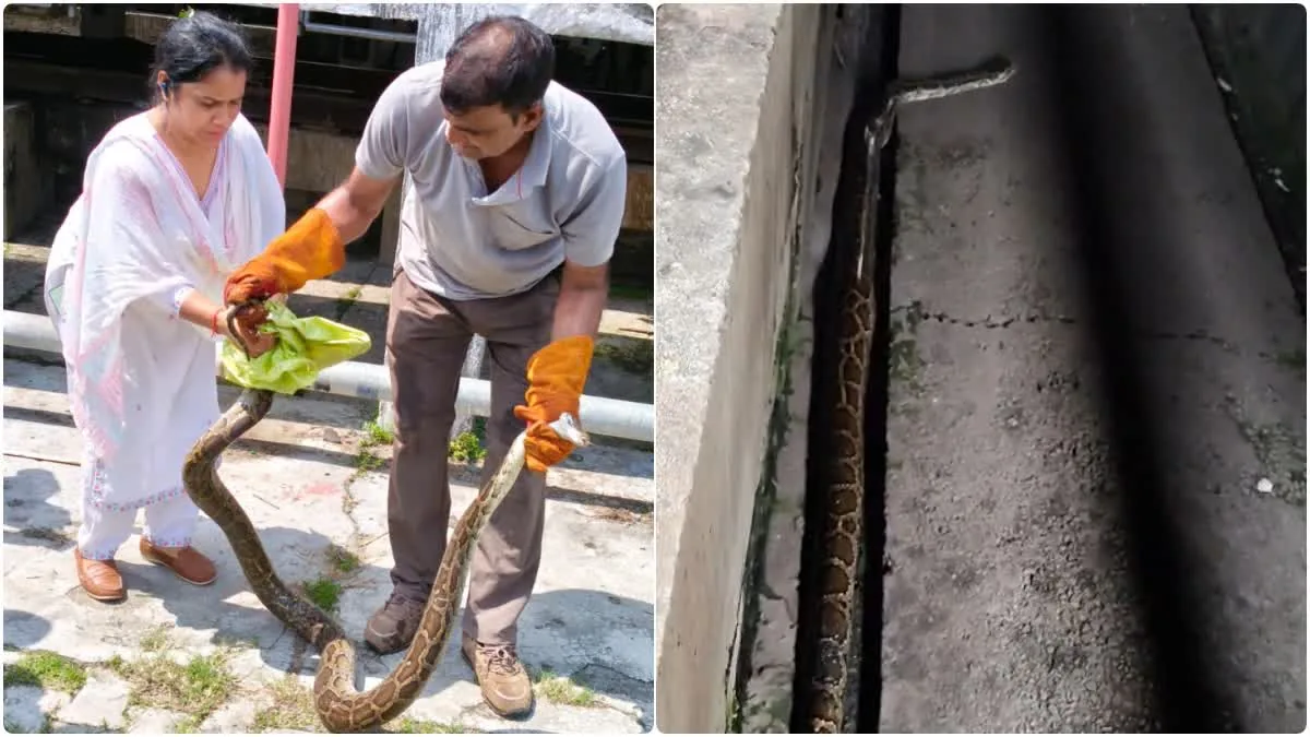 अनोखा हादसा: हरिद्वार से देहरादून जा रही वंदे भारत ट्रेन में घुसने लगा 10 फीट लंबा अजगर