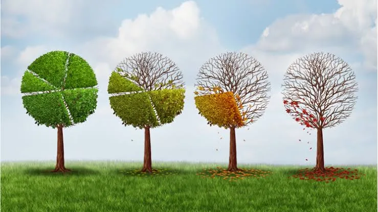 जलवायु रैंकिंग की राजनीति: पर्यावरण सूचकांकों के पीछे छिपी नैतिकता और वैश्विक खींचतान