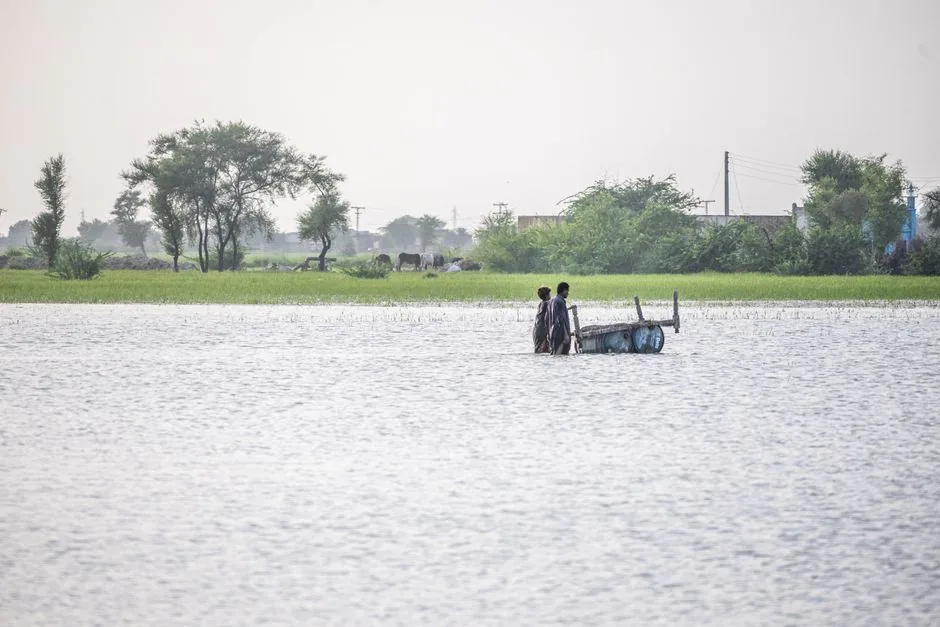 बड़ी आपदा: छत्तीसगढ़ में उफनती नदी के तेज बहाव में कई स्कूली बच्चे बहे