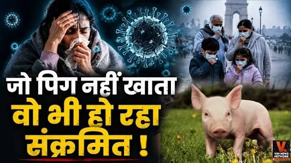 स्वाइन फ्लू का प्रकोप: आईएमए ने जारी की एडवाइजरी, दिल्ली में 1770 से अधिक मामले आए सामने