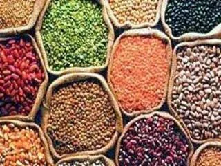 मध्य प्रदेश में दाल मिलों पर मंडी कर का दबाव, उत्पादन और कारोबार प्रभावित होने की चिंता