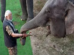 हाथी संरक्षण पर गर्व: विश्व हाथी दिवस पर प्रधानमंत्री मोदी ने कहा, दुनिया के साठ प्रतिशत से अधिक जंगली एशियाई हाथी भारत में होना गर्व की बात