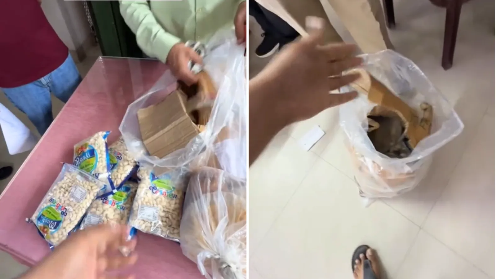 अनोखा हंगामा: आठ किलो काजू गायब होने पर शख्स ने इंडिया पोस्ट कर्मियों को जमकर सुनाई खरी-खोटी