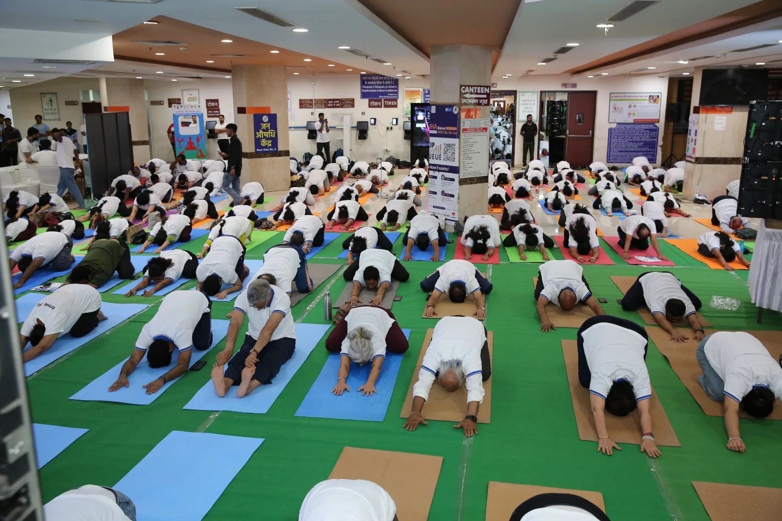 वरिष्ठ नागरिक दिवस: सोनीपत में बुजुर्गों ने किया योगाभ्यास और स्वास्थ्य के प्रति दिखाई जागरूकता