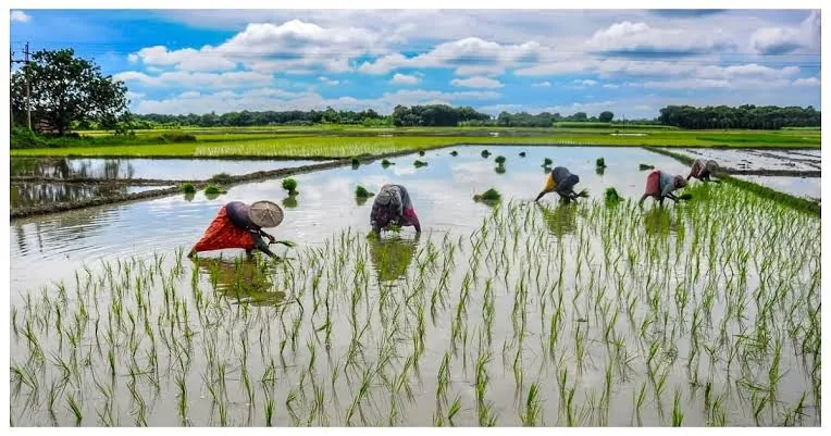 कृषि क्षेत्र में बदलाव: पूर्वांचल और बुंदेलखंड के 28 जिलों में 10 लाख किसानों को मिलेंगी आधुनिक तकनीक और नई फसलें