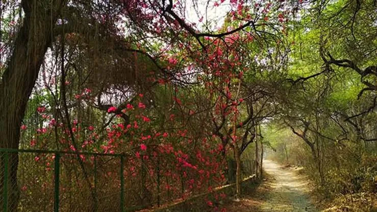 आकर्षण का केंद्र: वन विभाग के स्टॉल पर मिल रही है अनुसंधान से जुड़ी महत्वपूर्ण जानकारी