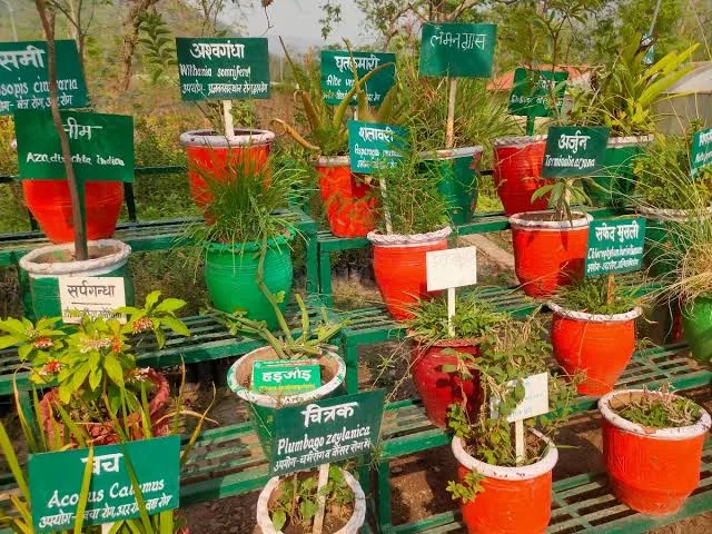 हरि औषधि: हर्बल गार्डन एवं औषधीय पौधों के महत्व पर विशेष व्याख्यान का आयोजन