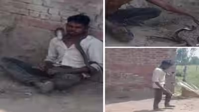 Shahjahanpur : सांप पकड़ते समय युवक की मौत, जहरीले सांप ने कई बार काटा