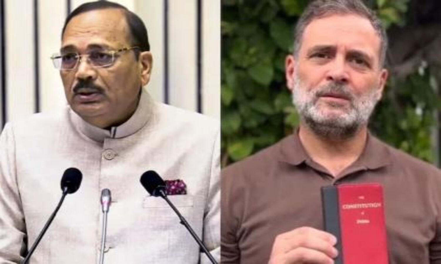 Why CJI Not Meet Rahul Gandhi : सीजेआई ने राहुल गांधी से मिलने से क्यों मना किया? जानिए क्या कहता है संविधान...