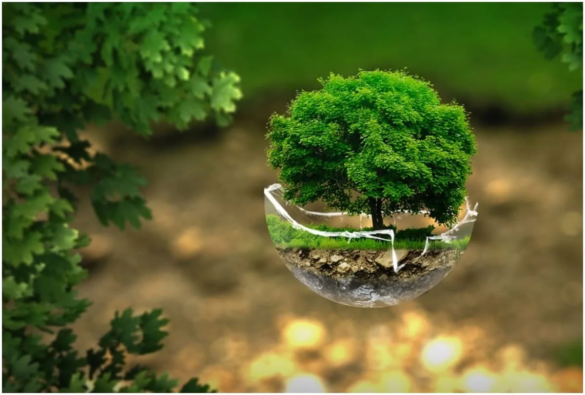 पर्यावरण संकट: प्रकृति पर बढ़ रहा है भारी दबाव और पिछड़ रही दुनिया
