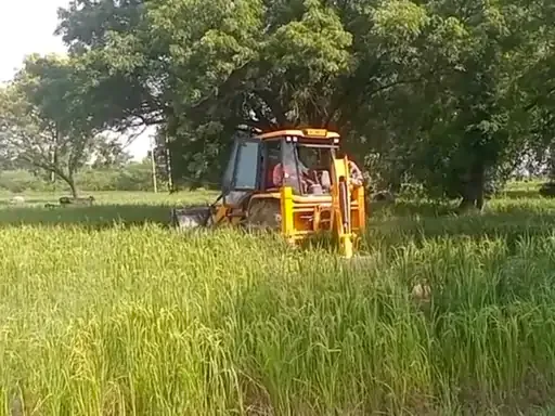 सरकारी भूमि मुक्त: कानपुर देहात के असंदा गांव में 20 बीघा जमीन पर चला प्रशासन का बुलडोजर