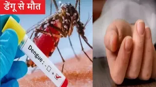 डेंगू से मौत: किंग जॉर्ज मेडिकल कॉलेज की टीम ने वाराणसी के अस्पताल में की जांच