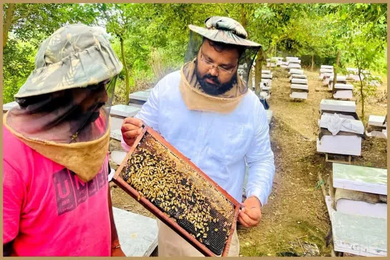 मीठी क्रांति से समृद्धि: वैशाली की महिला कंपनी का मधुमक्खी पालन कारोबार 5 करोड़ के पार