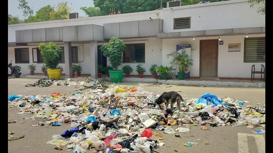 स्वच्छता संकट: तीन मंत्री होने के बावजूद कूड़े के ढेरों से बेहाल है फरीदाबाद शहर