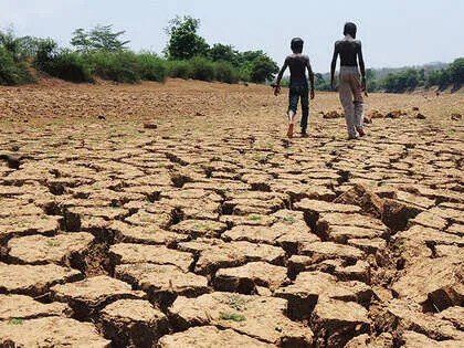 कम बारिश का संकट: रतलाम जिले को सूखाग्रस्त घोषित करने का प्रस्ताव भेजा गया