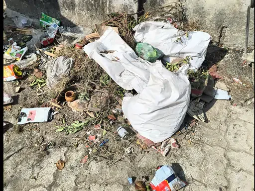 कूड़े का अंबार: तिकोना पार्क के पास चार दिन से सफाई ठप होने से लोग परेशान